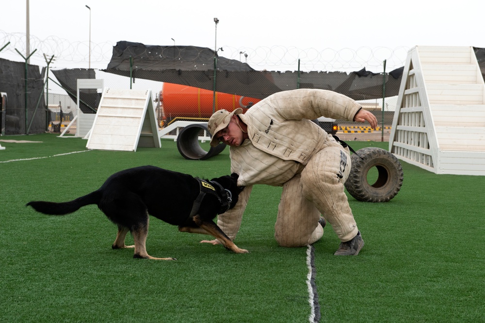 CLDJ Military Working Dog (MWD)