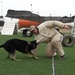 CLDJ Military Working Dog (MWD)