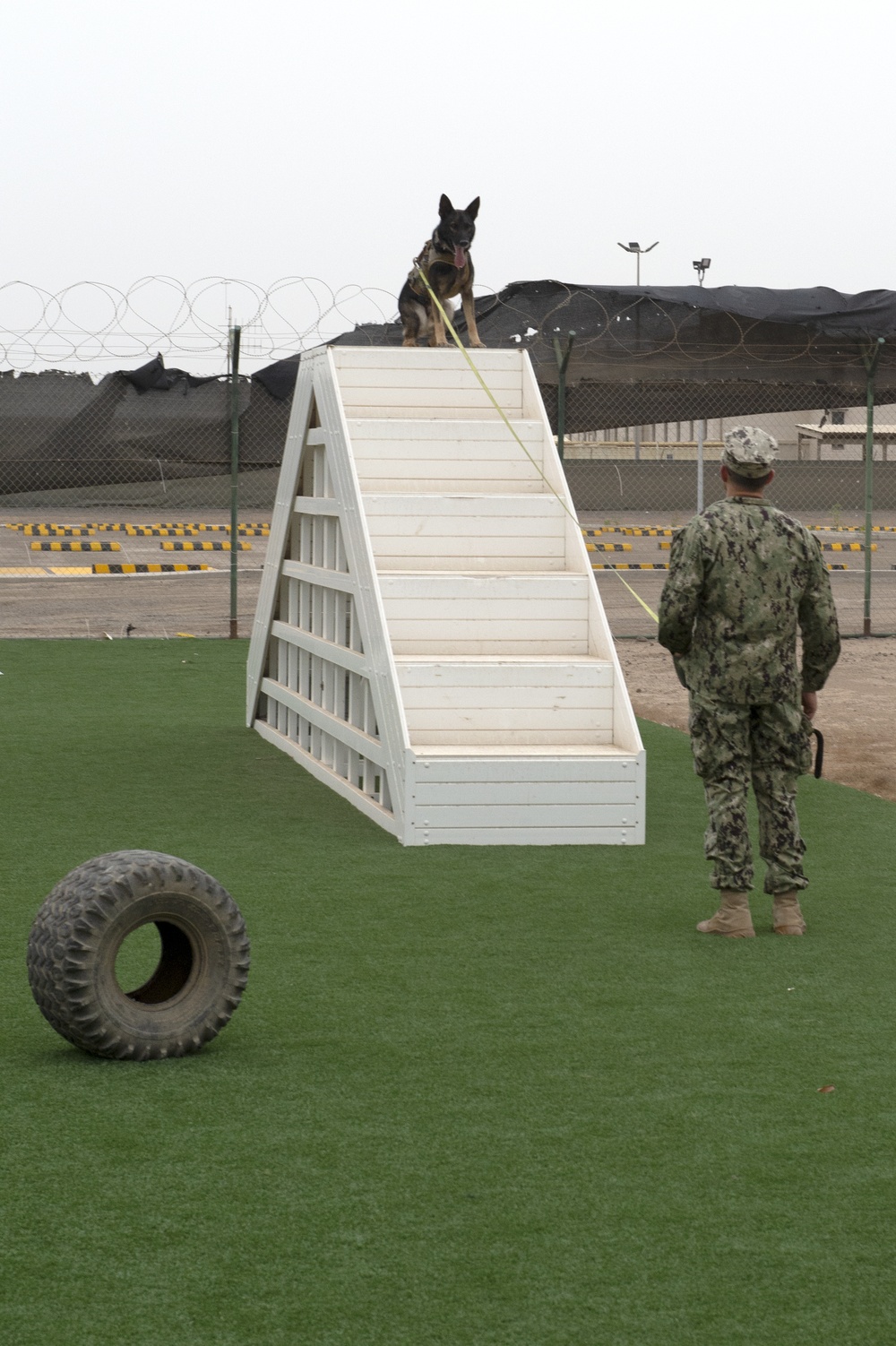 CLDJ Military Working Dog (MWD)