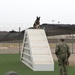 CLDJ Military Working Dog (MWD)