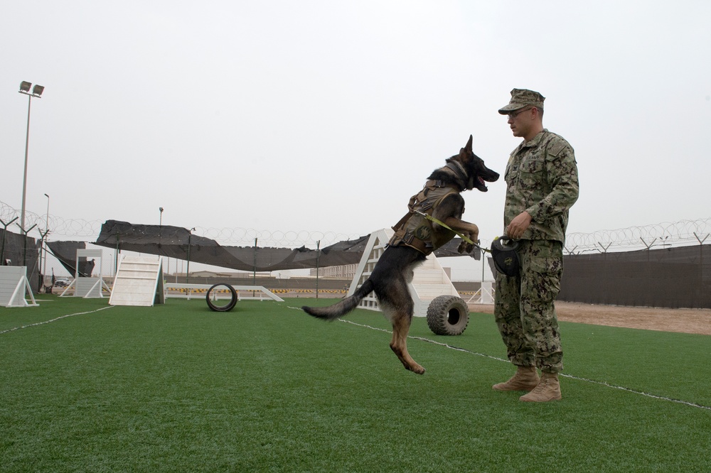 CLDJ Military Working Dog (MWD)