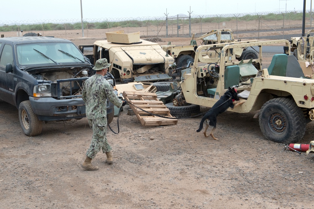 CLDJ Military Working Dog (MWD)