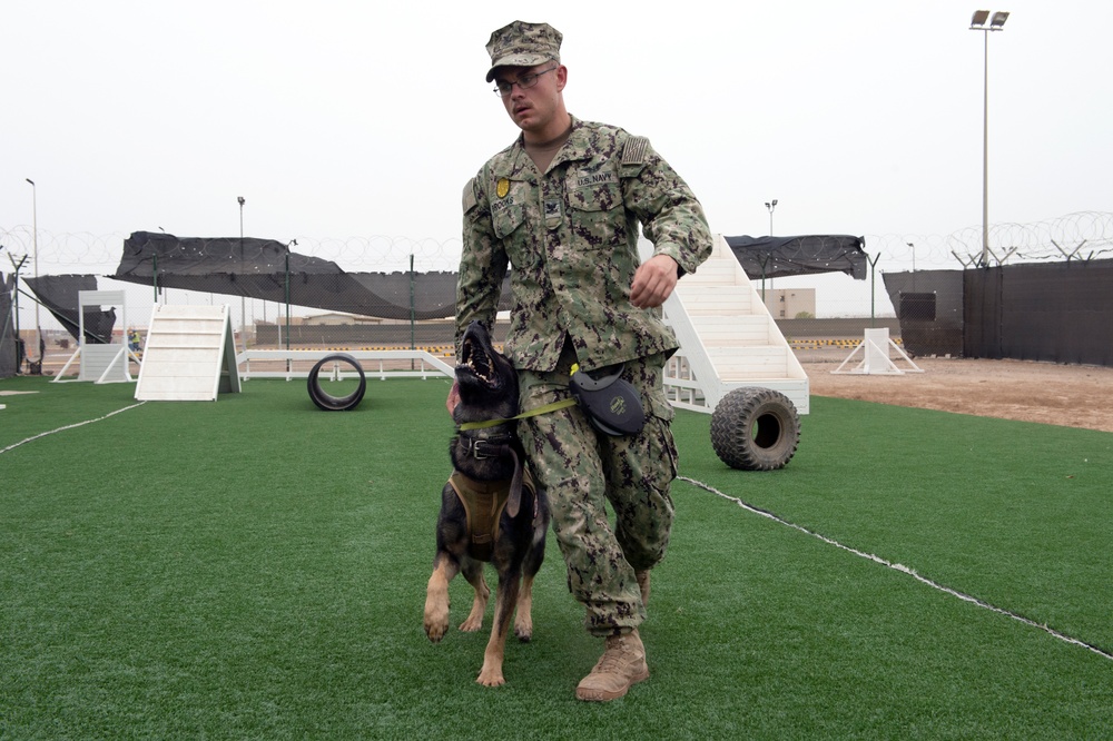 CLDJ Military Working Dog (MWD)