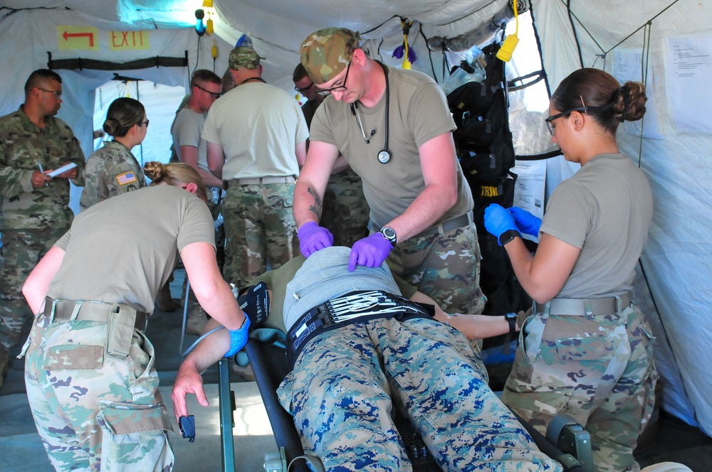 Mass casualty training exercises at Northern Strike 19