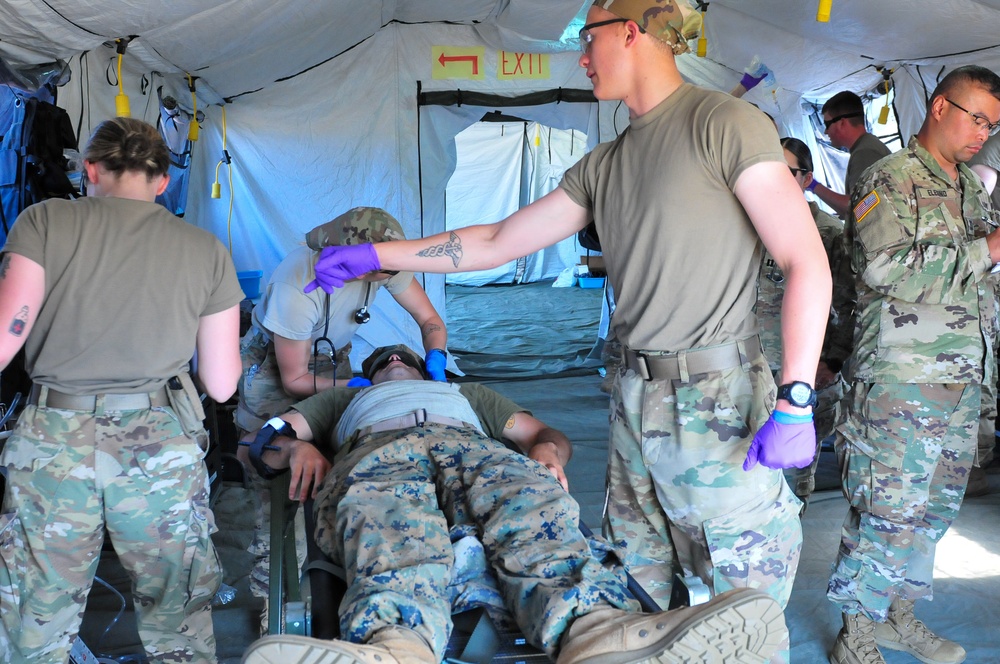 Mass casualty training exercises at Northern Strike 19