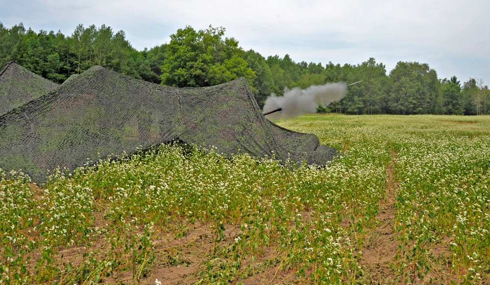 Field Artillery at Exercise Northern Strike 19