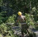 Tornado clean up Harwich, Mass.