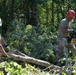 Tornado clean up Harwich, Mass.