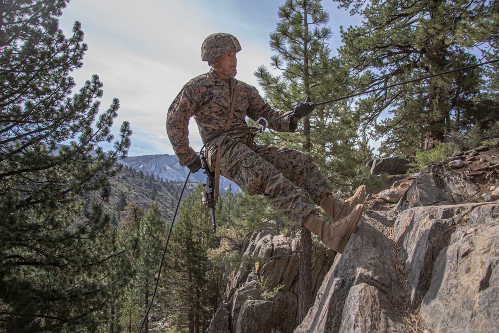 MTX 4-19: H&amp;S Repels