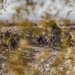 Reserve Marines with 1st Battalion, 25th Marine Regiment conduct training at Range 410A