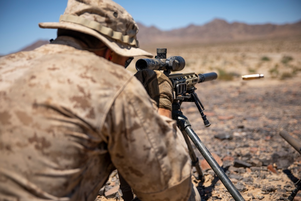 Reserve Scout Sniper Platoon Conduct Live-Fire Training During ITX 5-19