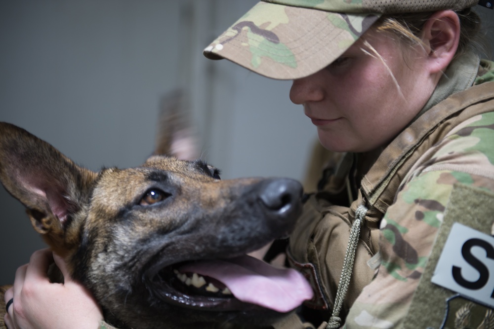 MWDs and handlers protect the base, each other