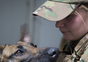 MWDs and handlers protect the base, each other