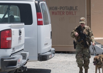 MWDs and handlers protect the base, each other