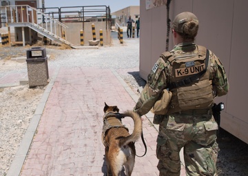 MWDs and handlers protect the base, each other