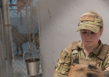 MWDs and handlers protect the base, each other