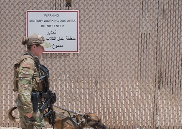 MWDs and handlers protect the base, each other