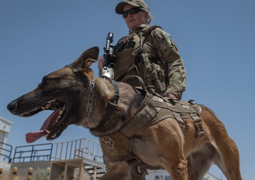 MWDs and handlers protect the base, each other