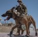 MWDs and handlers protect the base, each other