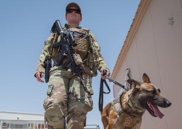 In this together: MWDs and handlers protect the base, each other