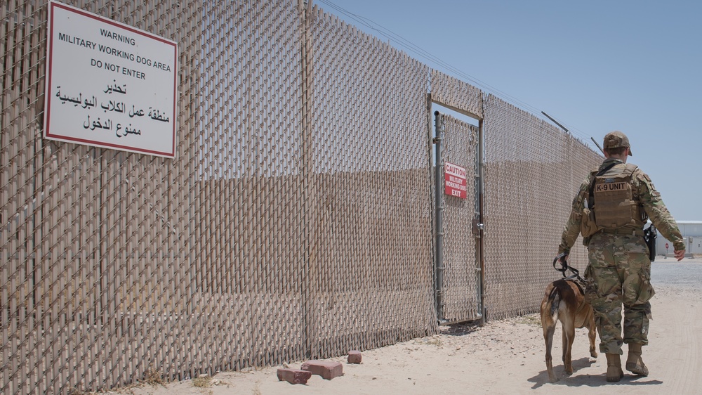 MWDs and handlers protect the base, each other