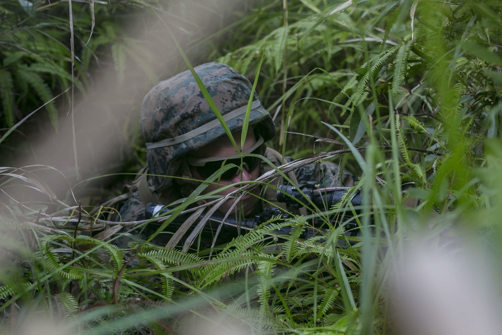 Truck Company, HQBN, 3rd Marine Division Field Exercise