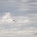 C-130 Hercules operations for exercise Patriot North 2019