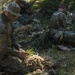 A Polish soldier prepares his camouflage for the stalking event during the European Best Sniper Competition.