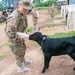 Sgt. Jessica Carr feeds calf