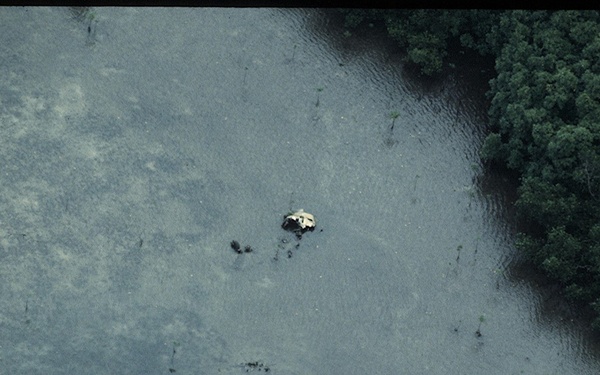An aerial photograph showing a flooded landscape with a partially submerged vehicle visible near the center of the image. Dense green tree canopy is visible along the right edge, indicating a forested area bordering the floodwaters. The scene suggests significant flooding has inundated what may be a road or low-lying area.