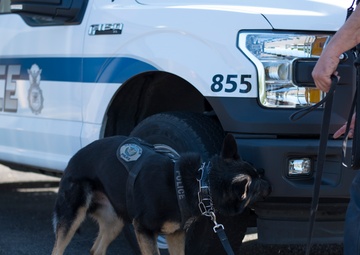 Law enforcement dogs train at Portland Air National Guard Base