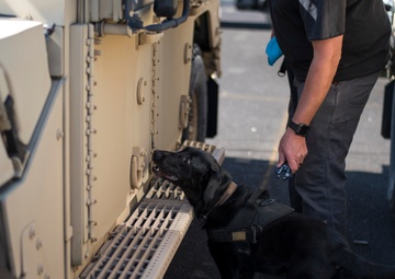 Law enforcement dogs train at Portland Air National Guard Base