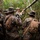 Into the Jungle: Medical Course Challenges Corpsmen at JWTC