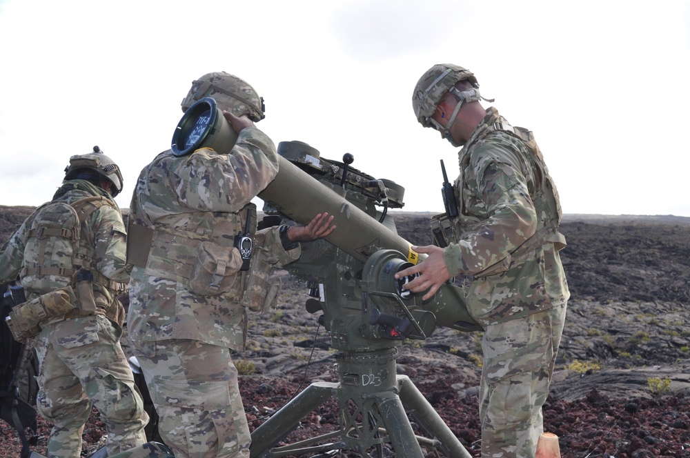 100th Battalion, 442nd Infantry Regiment conduct TOW Missile live fire training