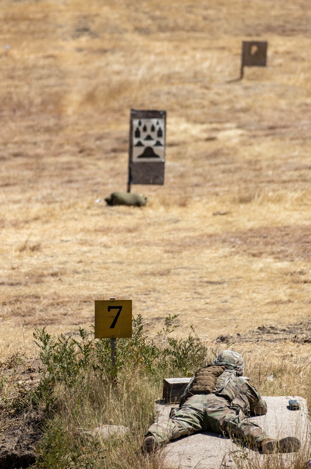 2CD conducts live and artillery-fire exercises during AgS19