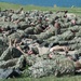 Officer Candidate School (OCS) class 17-19 here at Officer Training Command, Newport, Rhode Island, (OTCN) conduct performance reinforcement training on July 31, 2019.