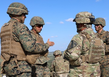 Fort Hood units conduct joint fires control exercise