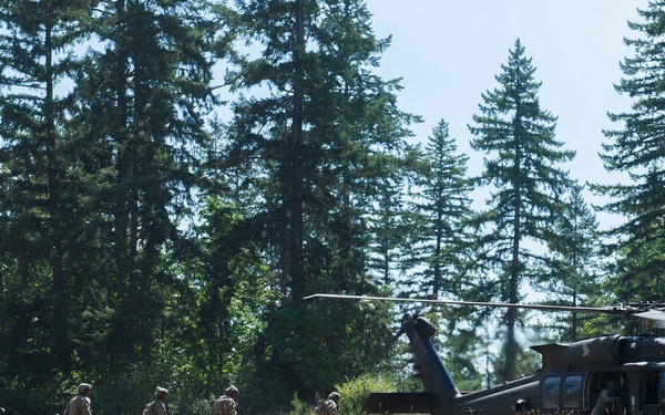 A group of military personnel in combat gear are walking across a dry grass field toward a landed military helicopter, consistent with a UH-60 Black Hawk. The scene appears to depict a troop insertion or extraction exercise in a field bordered by tall coniferous trees. The setting and equipment suggest a U.S. Army training exercise or operational deployment.