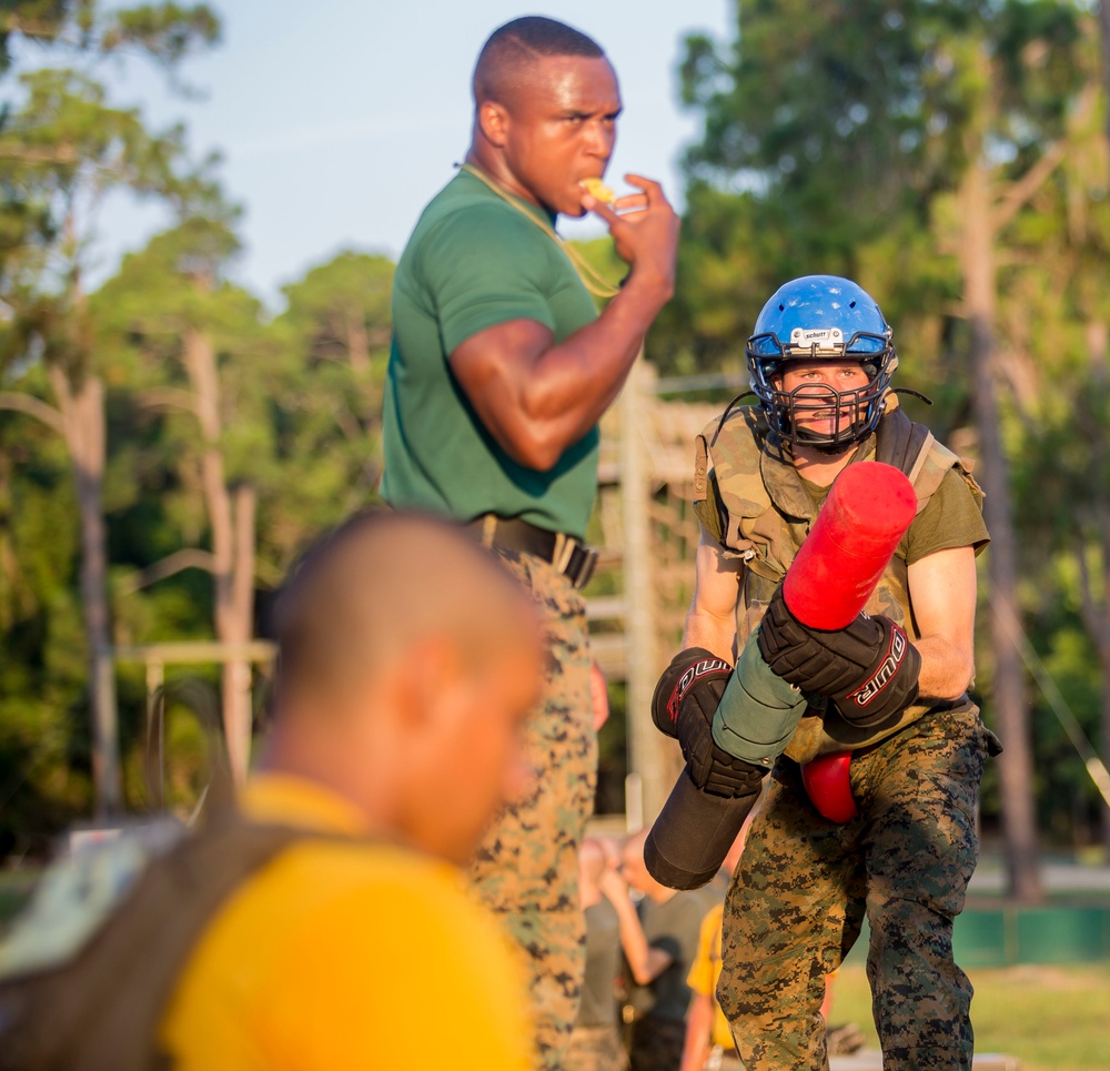 Hotel Company Pugil Sticks