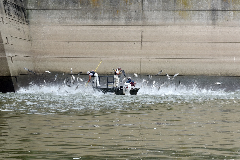 Bio-acoustic fish fence expected to be operational this fall