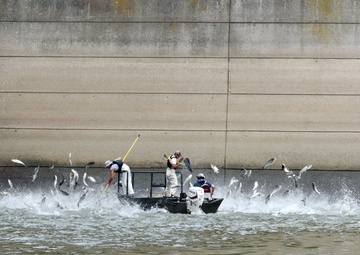 Bio-acoustic fish fence expected to be operational this fall
