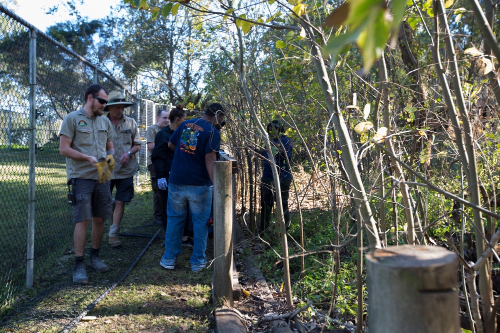 Leaving a legacy: 31st MEU Marines help renovate Lone Pine Koala Sanctuary