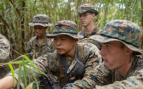 Navy Jungle Medicine Course at JWTC