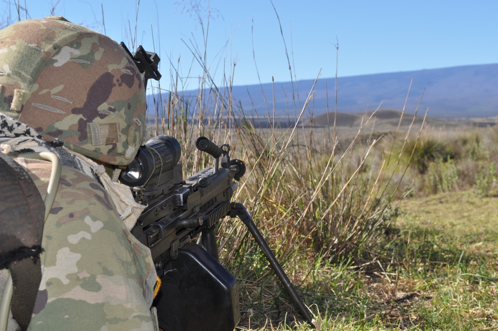 Charlie Company, 100th Battalion, 442nd Infantry Regiment conduct squad tactical exercises
