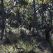 31st MEU patrols Australian Outback during Talisman Sabre
