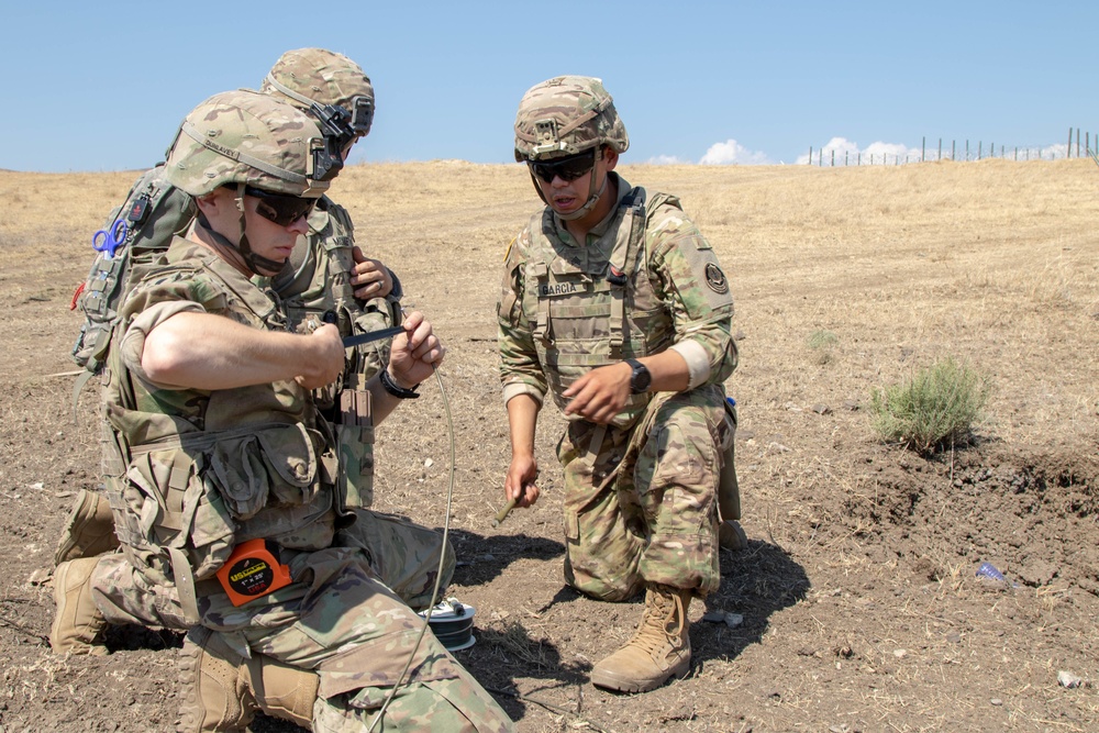 U.S. Army and Georgian Defense Force combat engineers train at a controlled demolition range