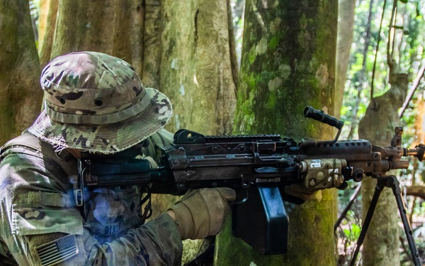 Pacific Pathways' Jungle Situational Training Exercise
