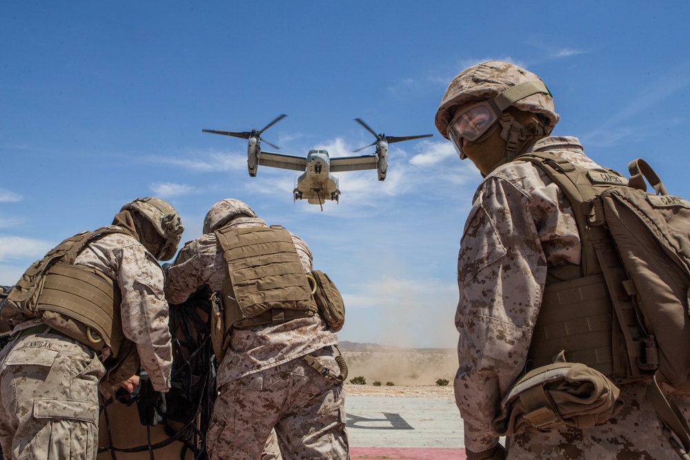 Combat Logistics Battalion 2 Helicopter Support Team