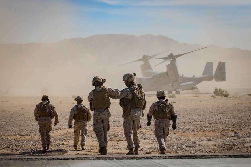 Combat Logistics Battalion 2 Helicopter Support Team