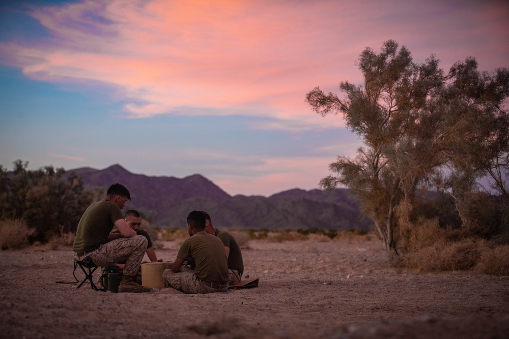 Combat Logistics Battalion 2 Motorized Operators Course Casualty Evacuation